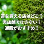 苔を買える店はどこ？実店舗では少ない？通販がおすすめ？