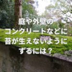 庭や外壁のコンクリートなどに苔が生えないようにするには？