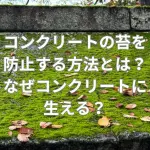コンクリートの苔を防止する方法とは？なぜコンクリートに生える？